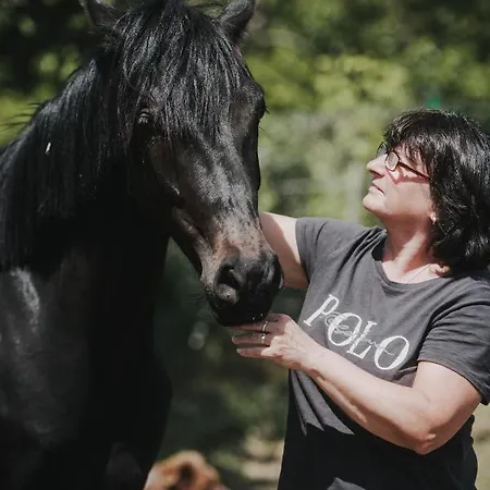 شقة Pferdeidylle Direkt Neben Berlin In *