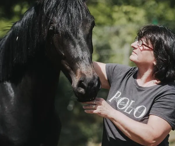 Apartamento Pferdeidylle Direkt Neben Berlin In *